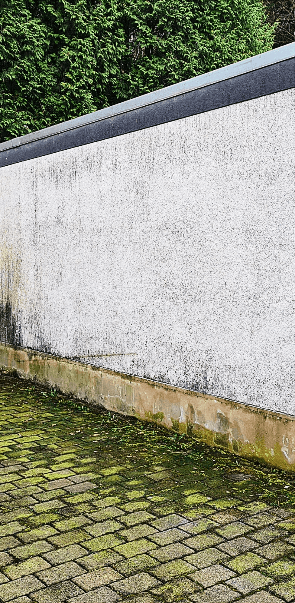 Fassadenreinigung vorher