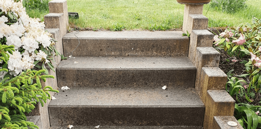 Pflastersteinreinigung nachher 2