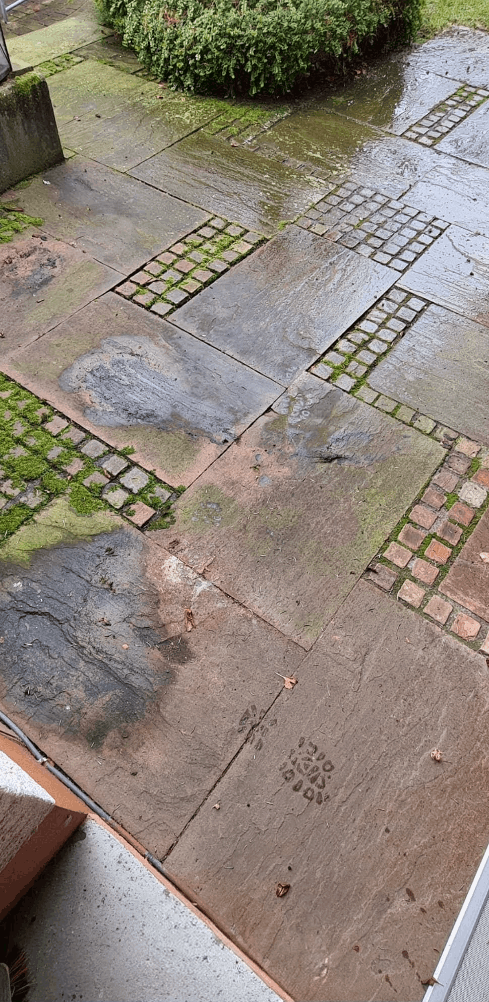 Pflastersteinreinigung nachher 2
