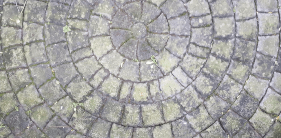Pflastersteinreinigung nachher 2