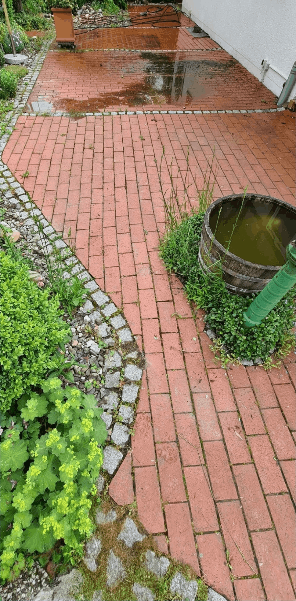 Pflastersteinreinigung nachher 2