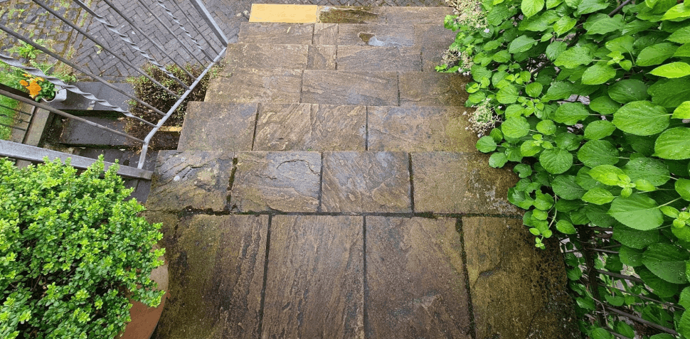 Pflastersteinreinigung nachher 2